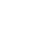 Fast Shipping